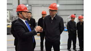 麗水市市委書(shū)記史濟(jì)錫調(diào)研暢爾