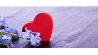 【暢爾故事】胡武英：在暢爾，總有溫暖隨行