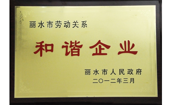 麗水市勞動關(guān)系和諧企業(yè)