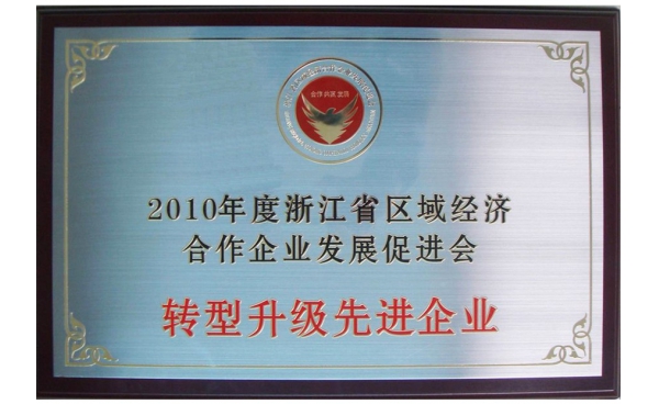 浙江省轉(zhuǎn)型升級(jí)先進(jìn)企業(yè)獎(jiǎng)牌