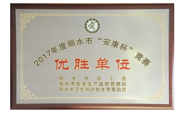 麗水市“安康杯”競賽優(yōu)勝單位