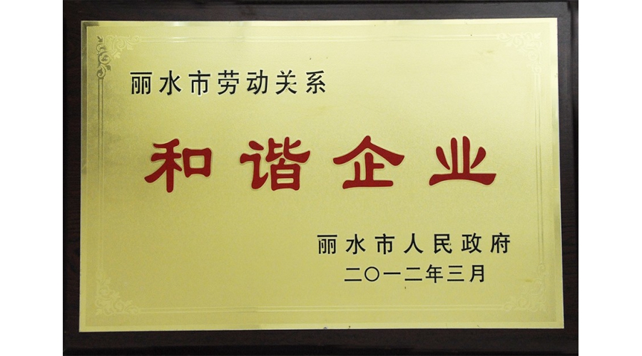 麗水市勞動(dòng)關(guān)系和諧企業(yè)