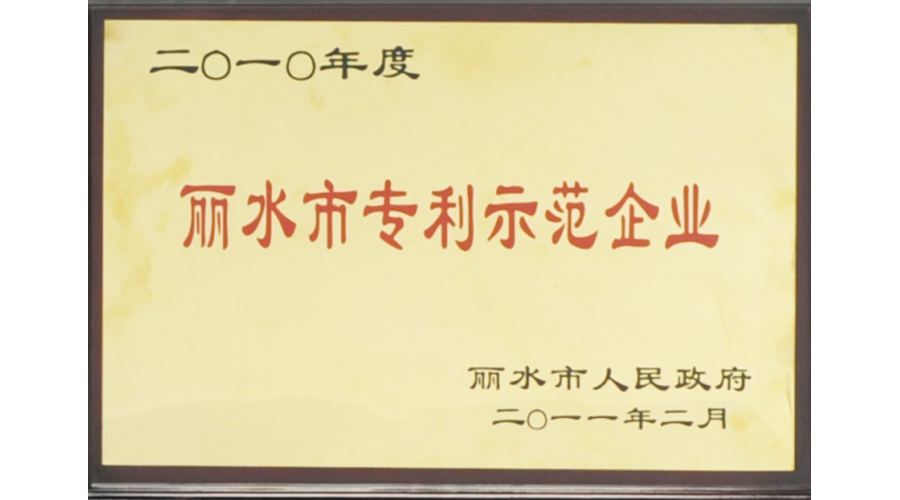 麗水市專(zhuān)利示范企業(yè)